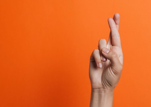 Article 178 cover image 1